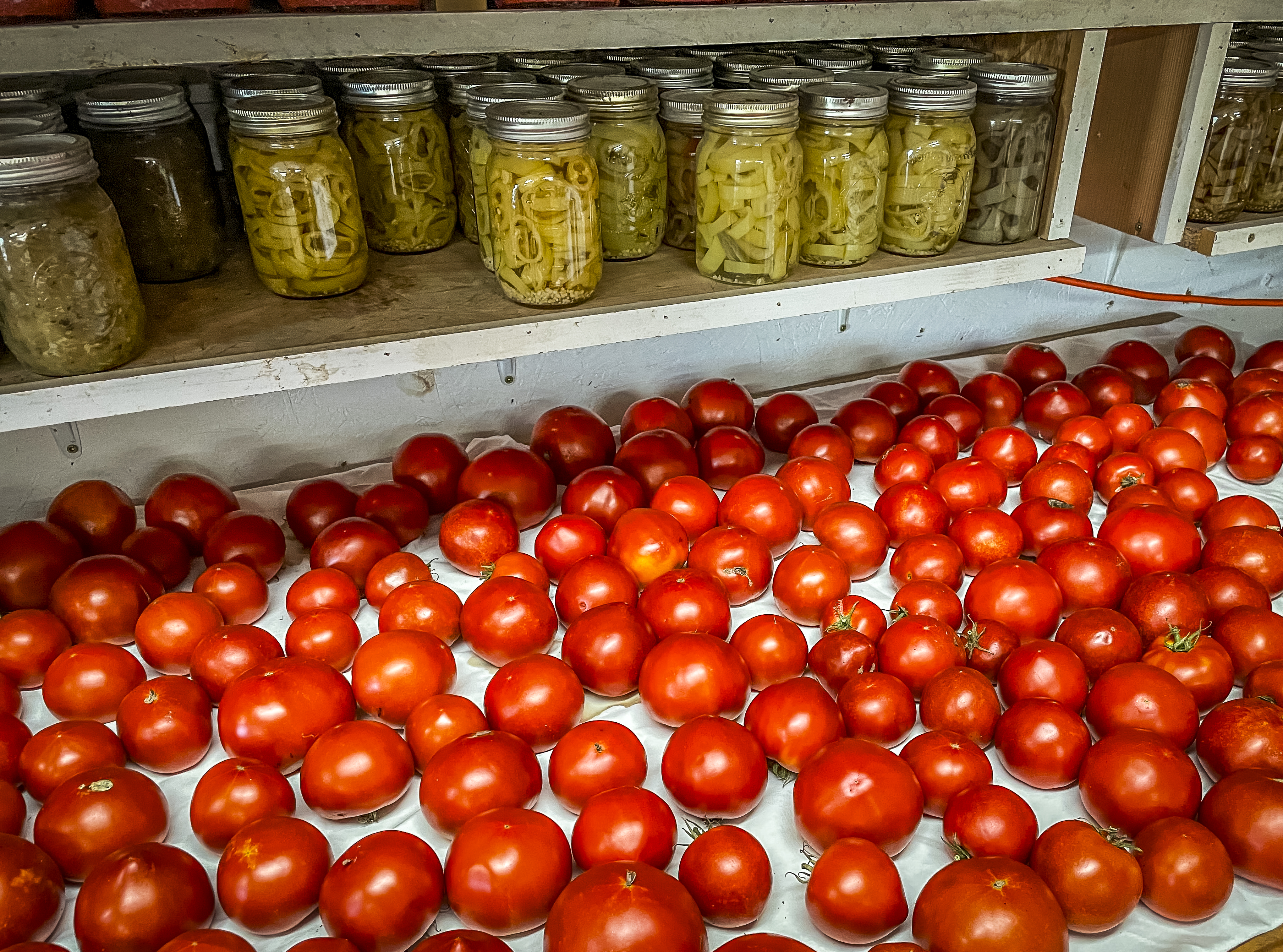 How to Make Salsa From Garden to Jar