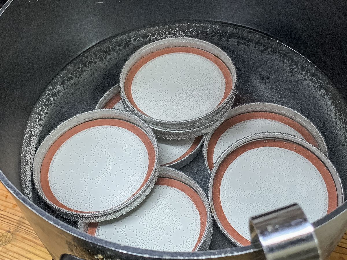 How to Make Your Own Homemade Sauerkraut in a 5Gallon Bucket