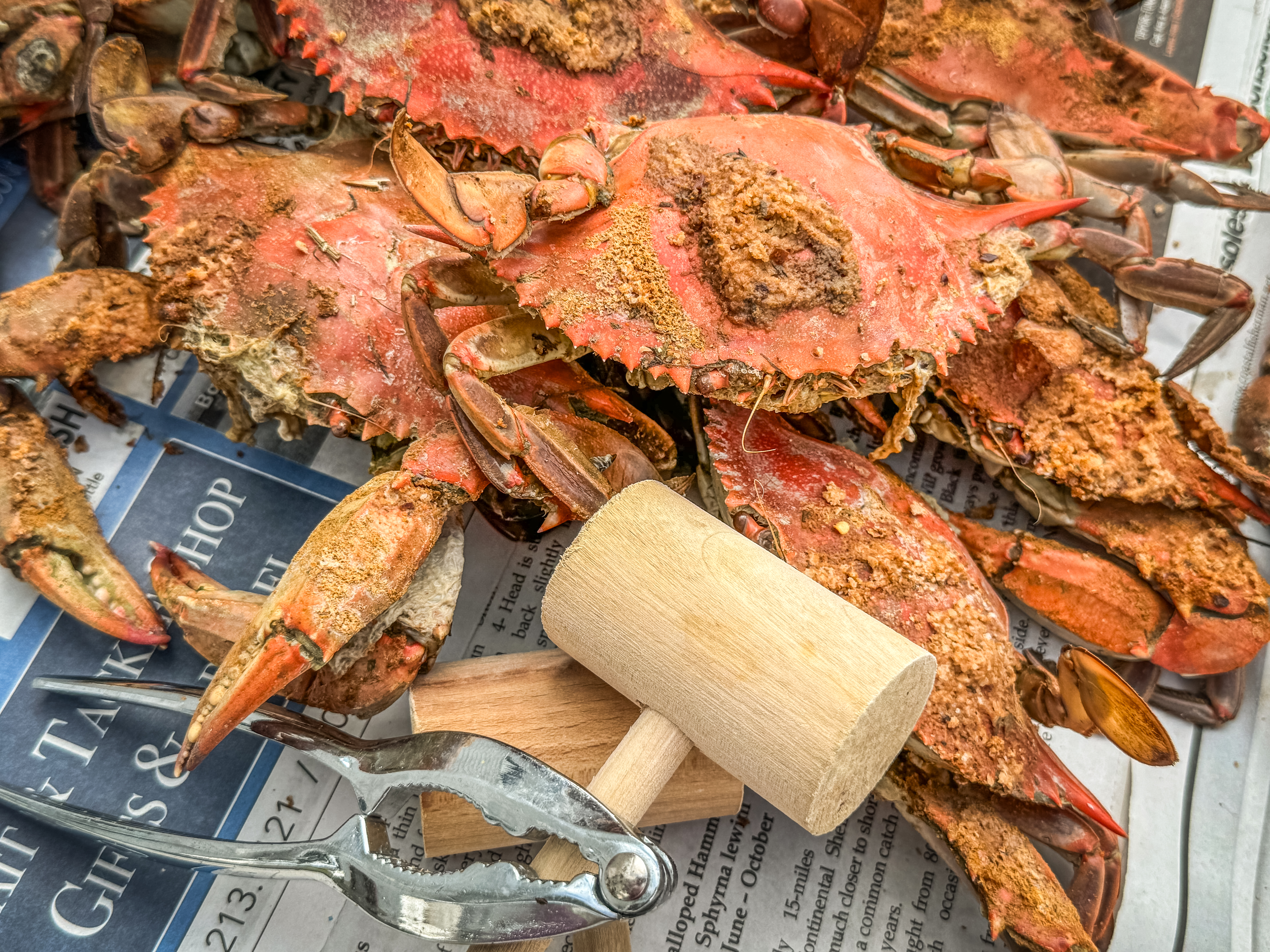 dressed blue crab The Louisiana blue crab's scientific name is Callinectes sapidus