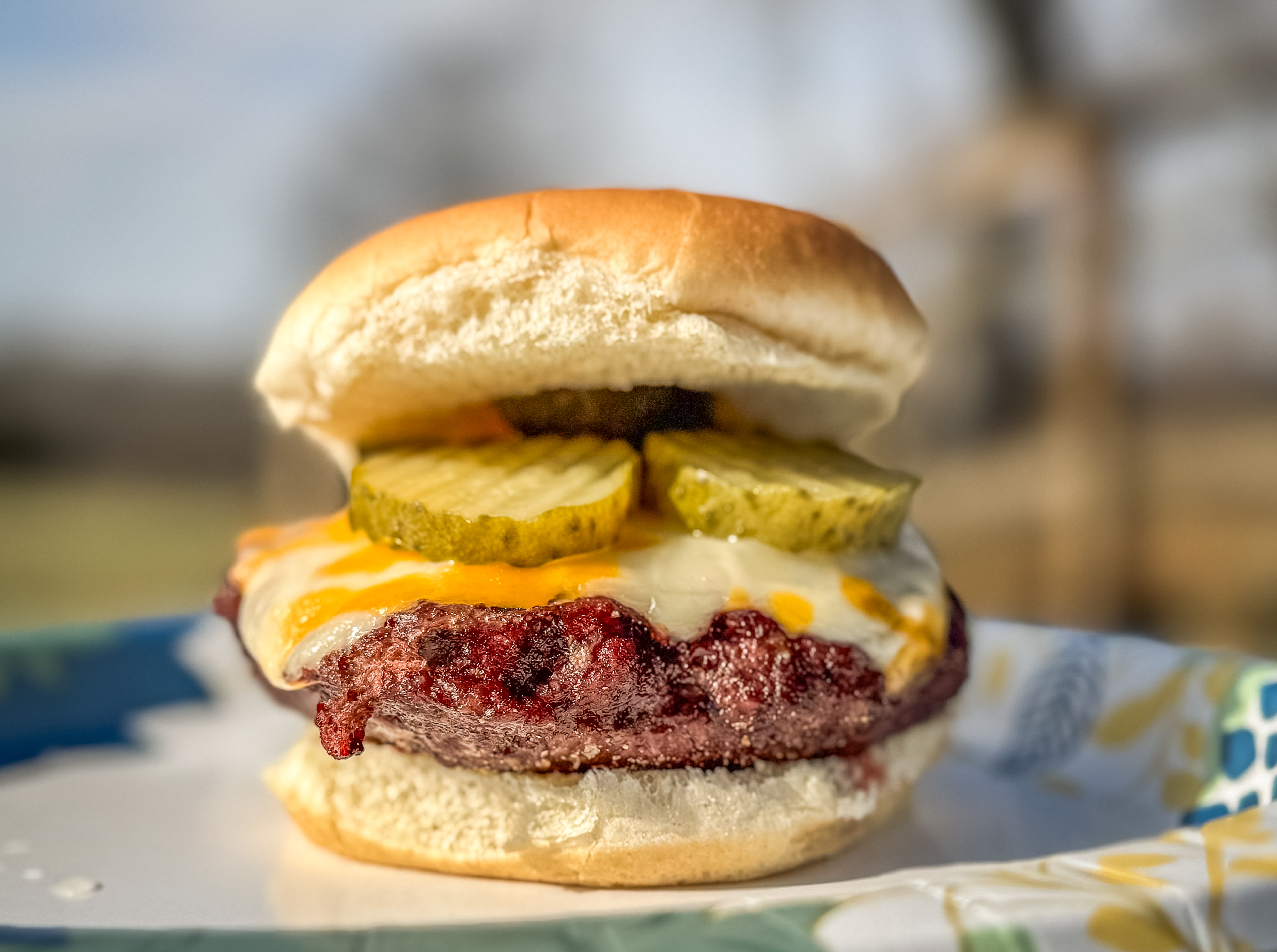 Stuffed Double Cheese Elk Burgers