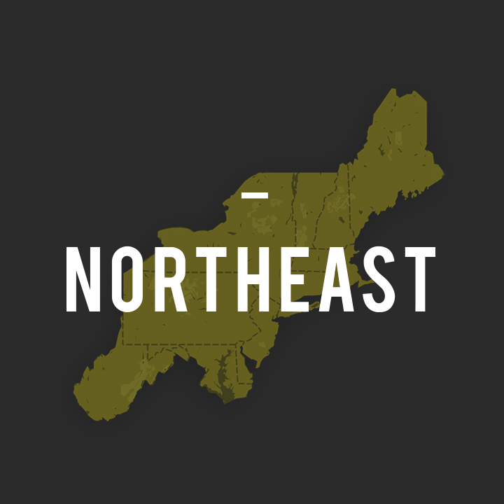 northeast map image