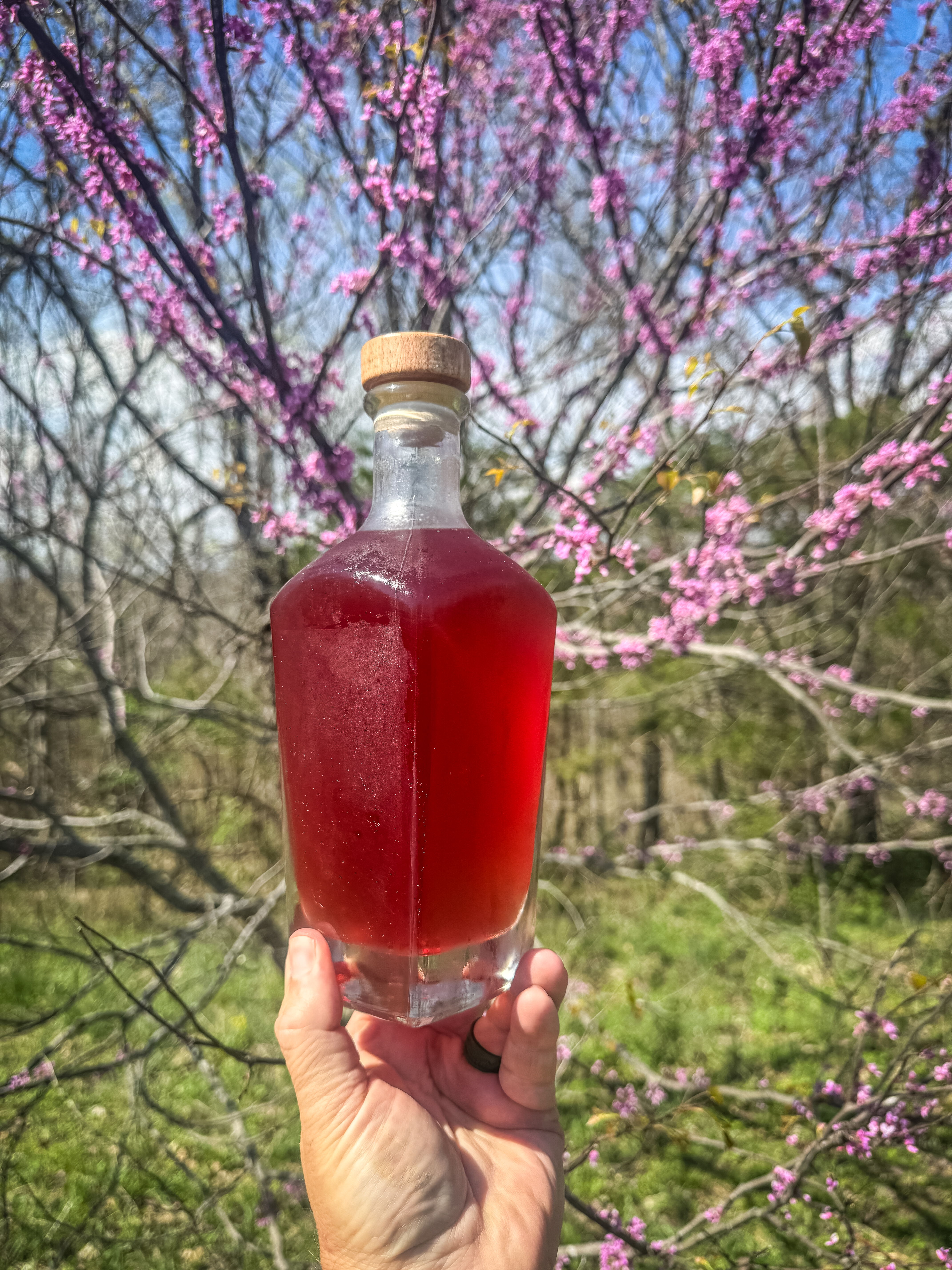 Redbud Blossom Cocktail Syrup